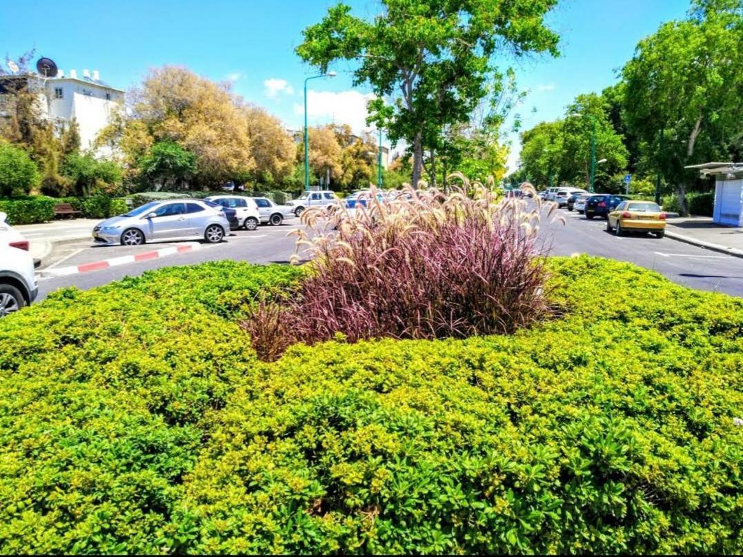 אירוח על הים Haifa Exterior foto